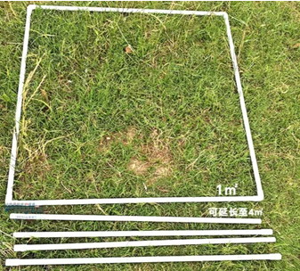 QQ20260716-150754.png